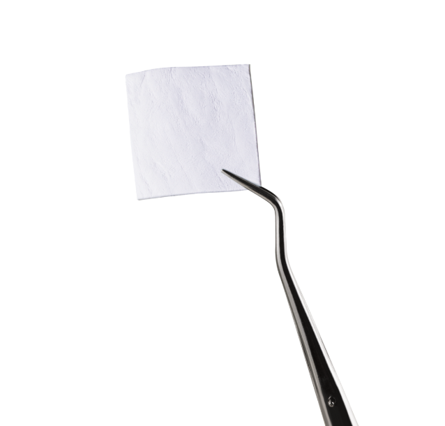 evolution fine equine n3.PNG