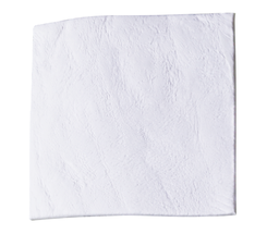 evolution fine equine 1.PNG