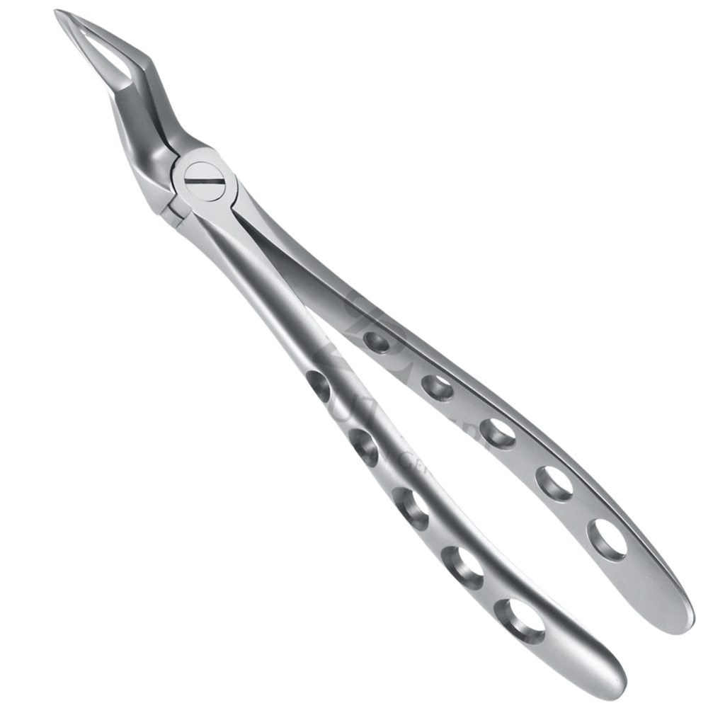 Davier Racines Haut Mo Synd 12.051.15Z