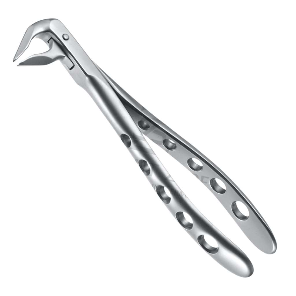 Davier Incisives & Premolaires Inf 12.036.08Z