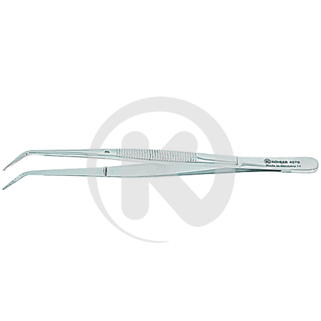 Précelle College 15cm 4078