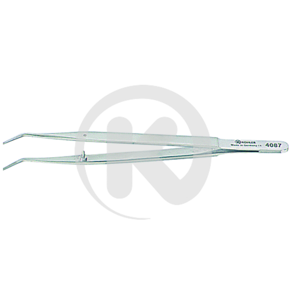 Précelle Meriam 16cm 4087