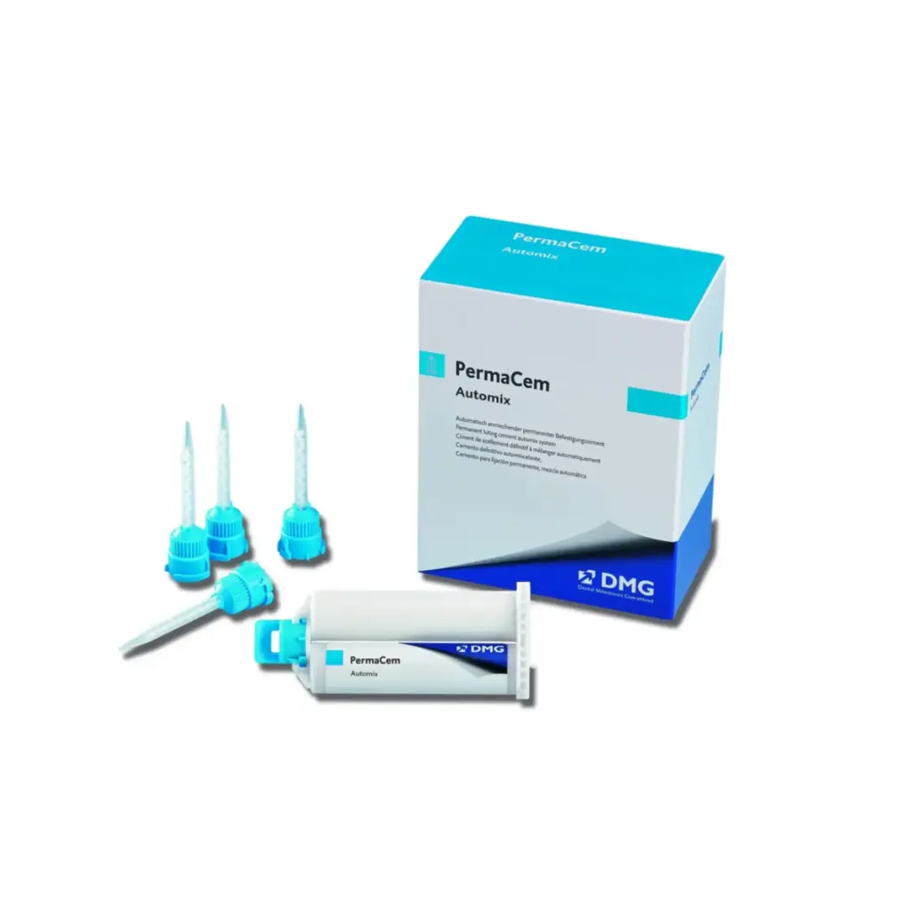 Permacem Cart 52g +35 Embouts Bte/1