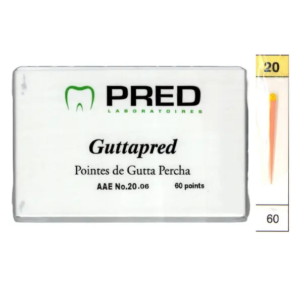 GuttaPred AAE 6% (boite/60)