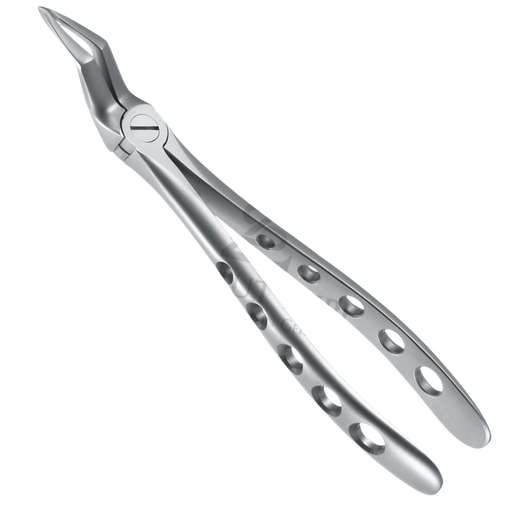 [87061] Davier Racines Haut Mo Synd 12.051.15Z