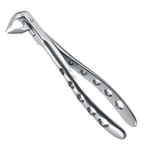 [87062] Davier Incisives & Premolaires Inf 12.036.07Z