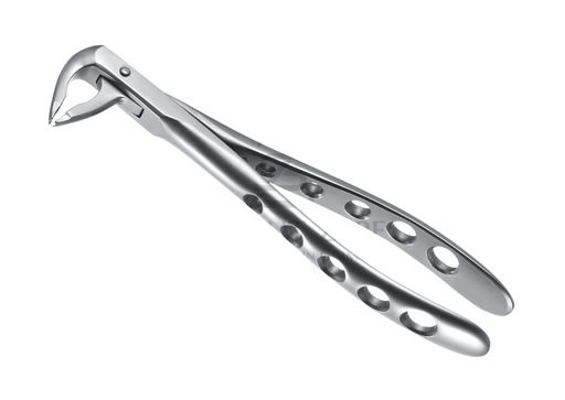 [87063] DAVIER INCI & CANINE INF MORS LARGE 12.036.01Z