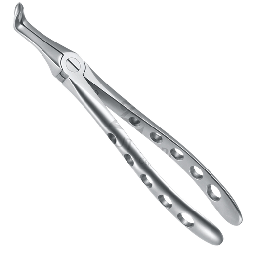 [87065] Davier Racines Bas Mors Syndes 12.045.15Z