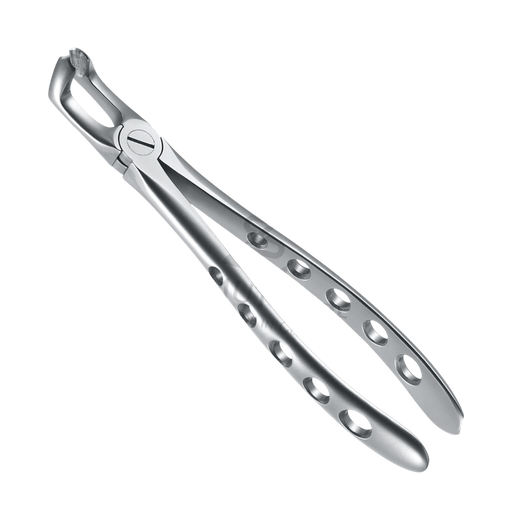 [89584] Davier Dent de Sagesse Inf 12.079.00Z