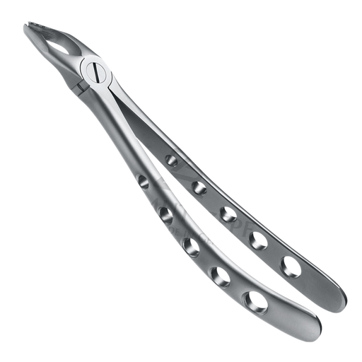 [92030] Davier Molaire Sup Large Droit & Gauche Mors Crantés 12.235.08Z 