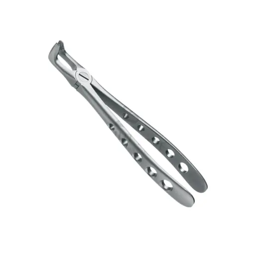 [92031] Davier Sagesse Inf Mors Crantés 12.279.90Z