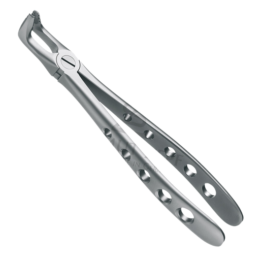 [92031] Davier Sagesse Inf Mors Crantés 12.279.90Z