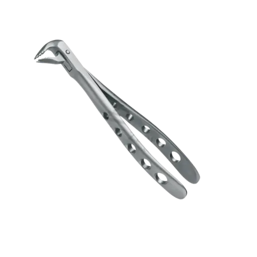 [92034] Davier Incisives & Premolaires Inf Mors Crantés 12.236.08Z