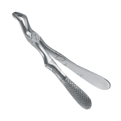 [92088] Davier Pedo Molaire Sup Droit 10.681.52