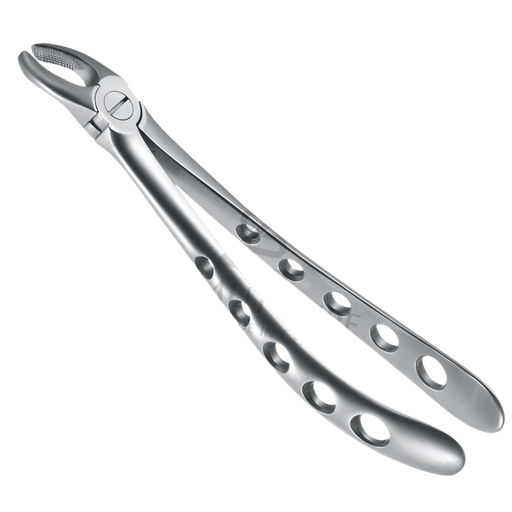 [92091] Davier Dent Sagesse & Molaire Sup Cote Droit 12.017.00Z