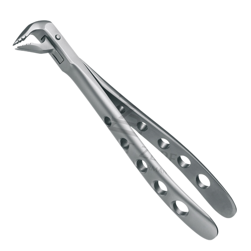 [92098] Davier Incisives & Premolaires Inf 12.236.07Z