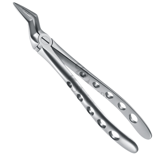 [92100] Davier Racine pour Machoire Sup 12.051.01Z