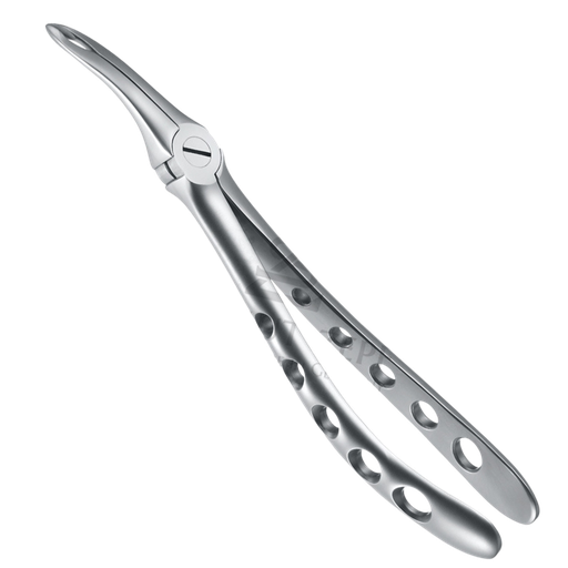 [92192] Davier Racines Machoir Sup 12.044.15Z