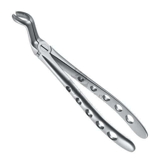 [99213] Davier Dent de Sagesse Sup 12.067.01Z