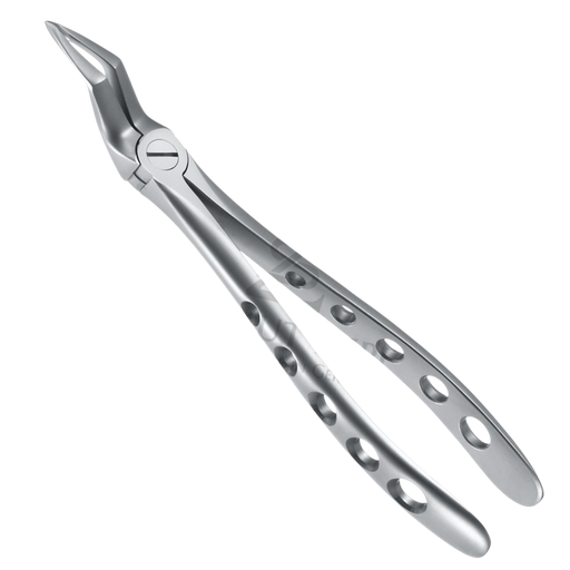 [99231] Davier Racines Sup 12.051.15ZS