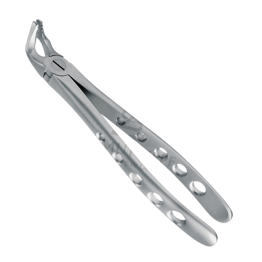 [99364] Davier Dent Sagesse & Molaire Inf  12.221.90Z