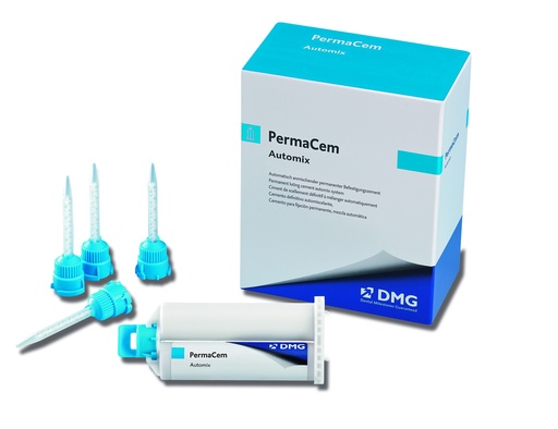 [98250] Permacem Cart 52g +35 Embouts Bte/1