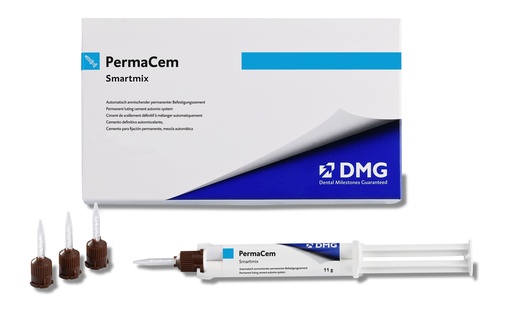 [98271] Permacem Smartmix 2*Ser 10g + 20 Embouts
