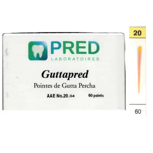 [67109xx] GuttaPred AAE 4% (boite/60)