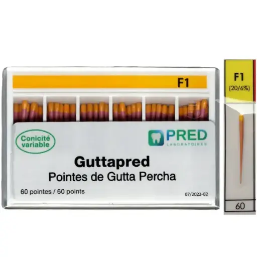 [67117xx] Guttapred Conicité Variable (Bte/60)