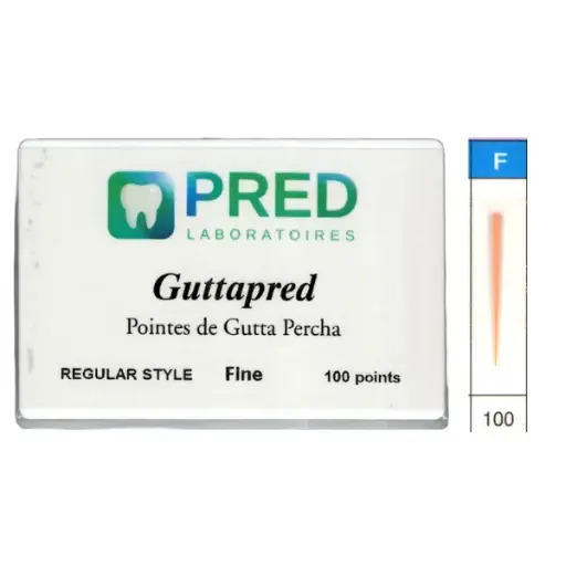 [67094xx] GuttaPred Regular (Boite/100)