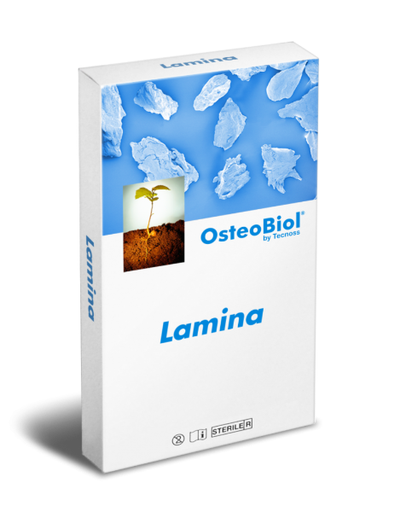 [19054] Osteo Lamina (Equin) F 25*25mm n°LPP 8198823