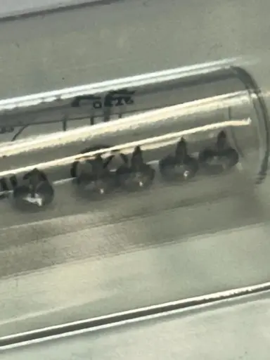 [11915xx] Pinject Pins