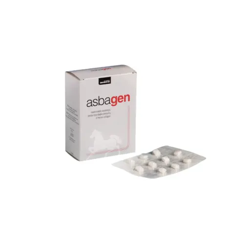 [10006] Asbagen Bte/60
