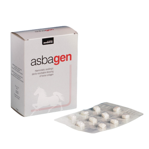 [10006] Asbagen Bte/60